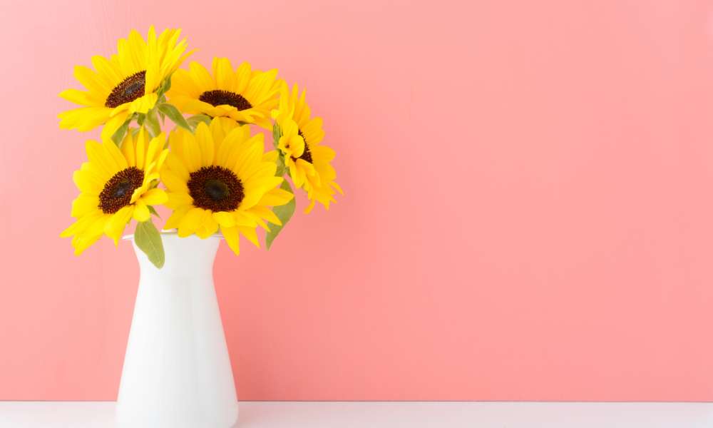 Sunflowers in a vase