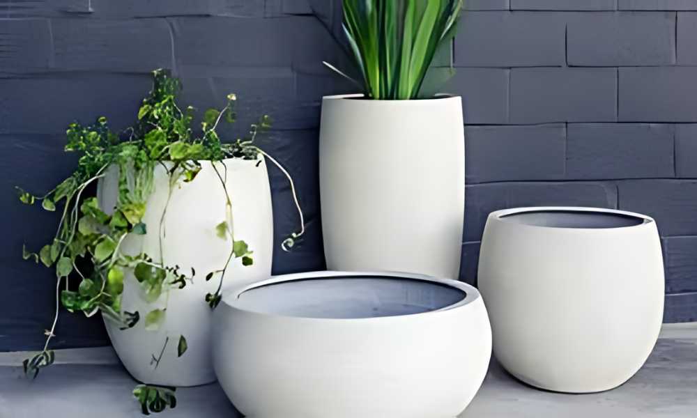 choosing large planters