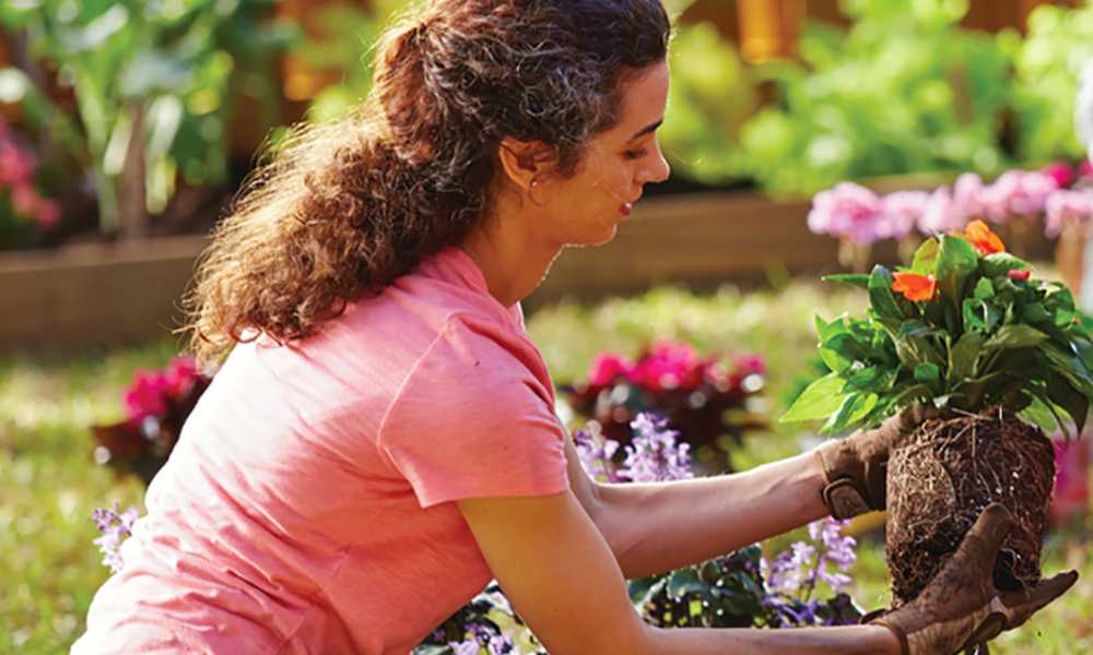 Choosing flowers 