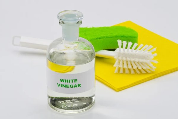 Why to use vinegar to clean your couch